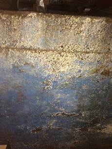 Black Mold Removal