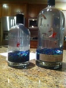 Bottles And Jars