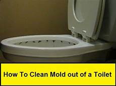 Cleaning Black Mold