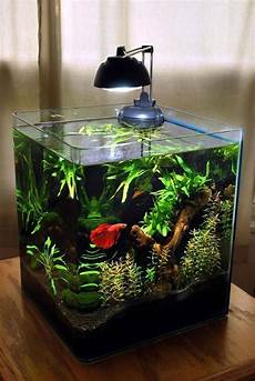 Tanks For Fish