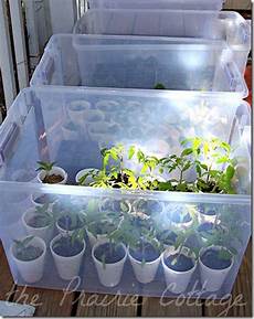 Clear Plastic Totes