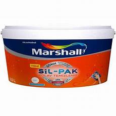 Clearable Silicone Paint