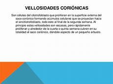 Corion