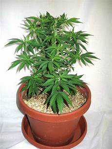 Drying Containers