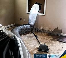 Fdp Mold Remediation