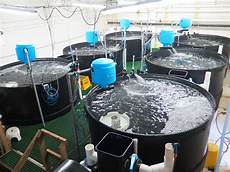 Fish Farming