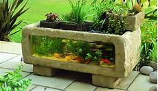 Fish Tanks