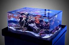 Fish Tanks