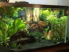 Fish Tanks