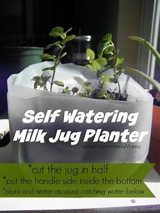 Gallon Storage Container
