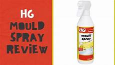 Hg Mould Remover