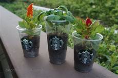 Industrial Plastic Containers