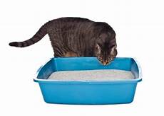 Large Tote Box