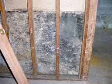 Mold Behind Drywall