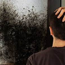 Mold Behind Drywall