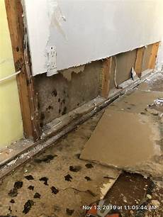 Mold Behind Drywall