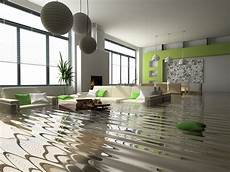 Mold Cleanup
