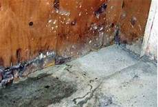 Mold In Basement