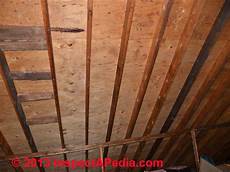 Mold In Basement