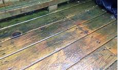 Mold In Carpet