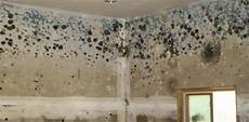 Mold In House