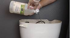 Mold In Toilet