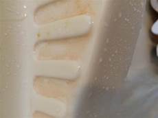 Mold In Toilet