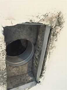 Mold In Vents