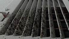 Mold In Vents
