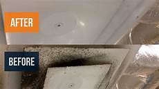 Mold In Vents