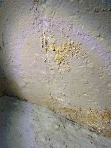 Mold In Walls