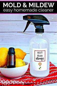 Mold Mildew Remover