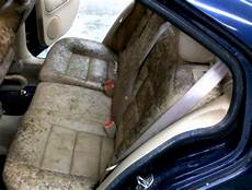 Mold Mildew Remover