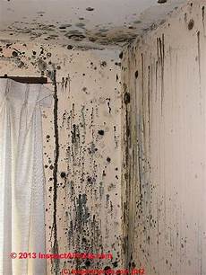 Mold Mildew