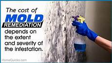 Mold Mitigation