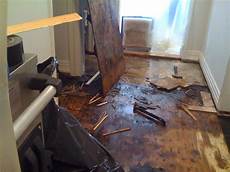 Mold Mitigation