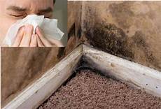 Mold Prevention