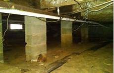 Mold Prevention