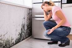 Mold Remediation Company