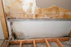 Mold Remediation