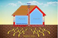 Mold Remediation