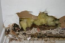 Mold Removal Control