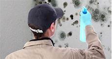 Mold Removal