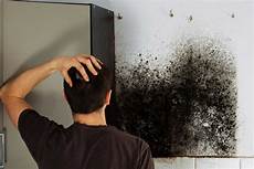 Mold Removal