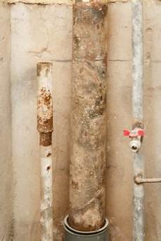Mold Removal