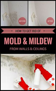 Mold Solutions
