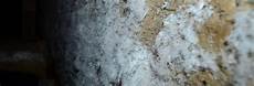 Mold Solutions