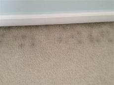 Mold Under Carpet