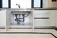 Mold Under Sink
