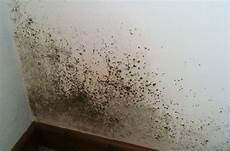 Mould In Bedroom